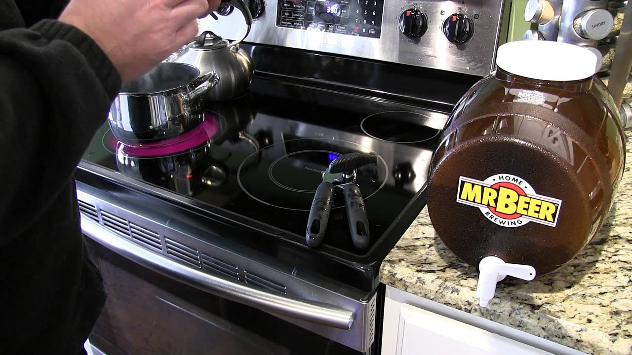 Mr. Beer Making Beer Demonstration Brew Insight