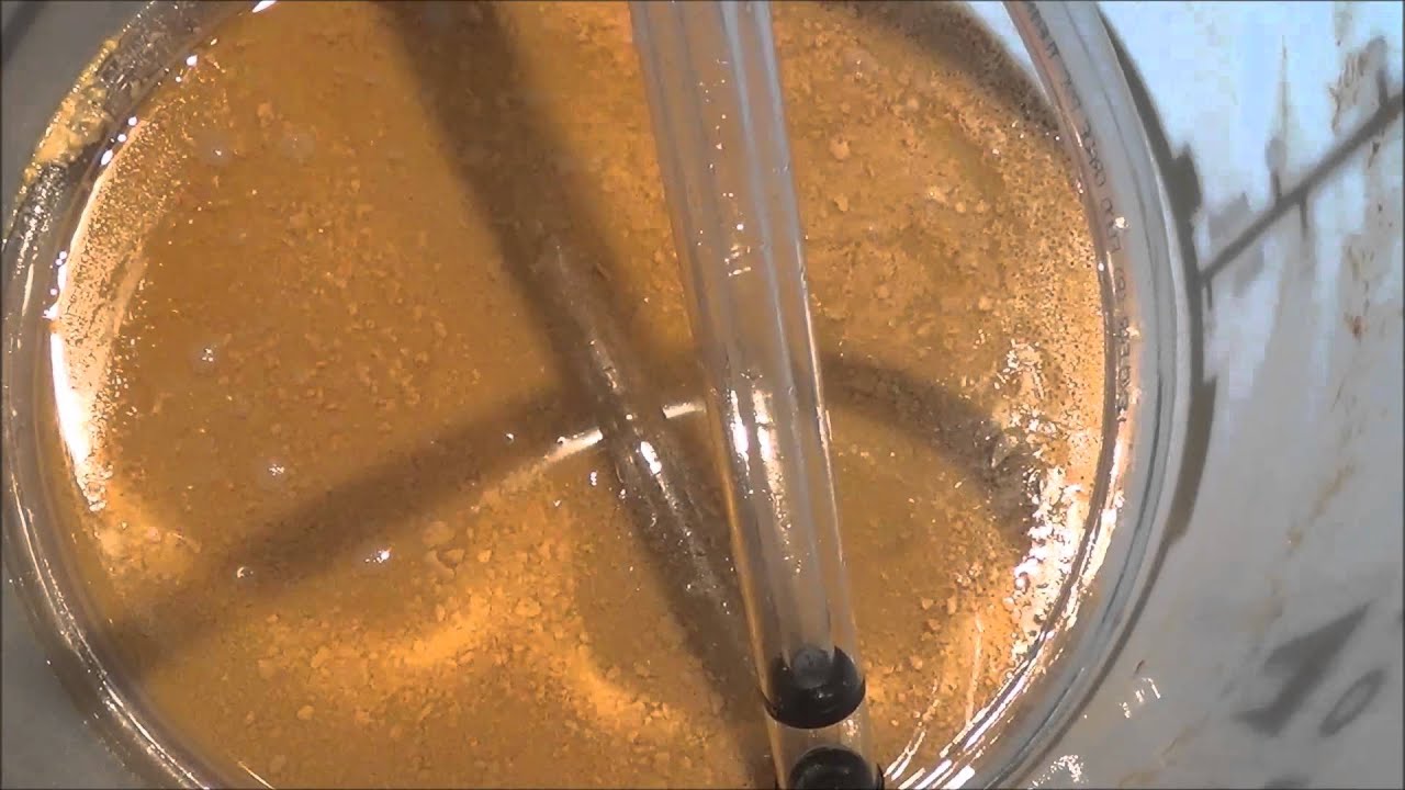 Making a Strawberry Turbo Cider Brew Insight