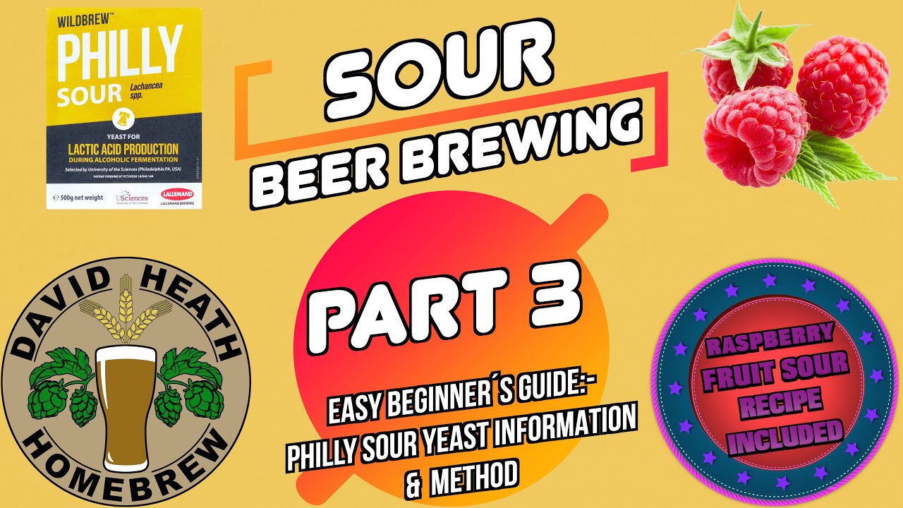 Philly Sour Yeast Info & Souring Method 🍻 Sour Beer Brewing Part 3 ...