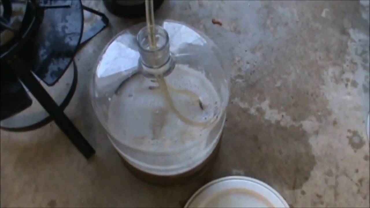 How To All Grain Homebrewing Kolsch Brew Insight