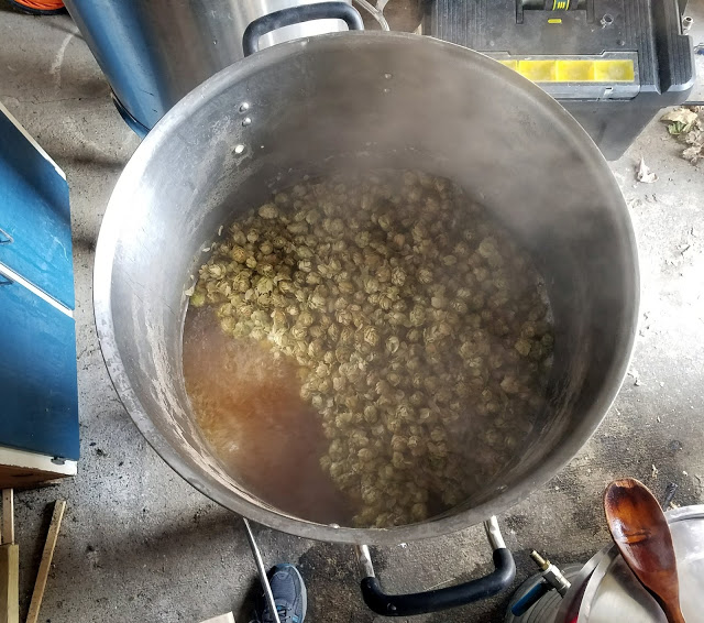 Aged homegrown Cascade hops in the boil.