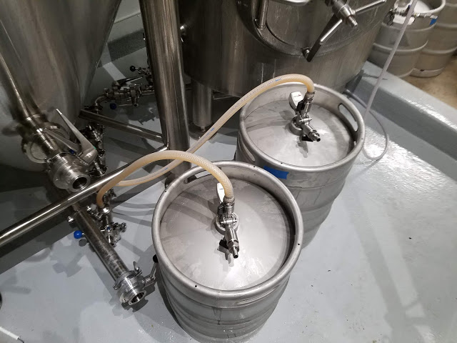 Kegging pale ale.